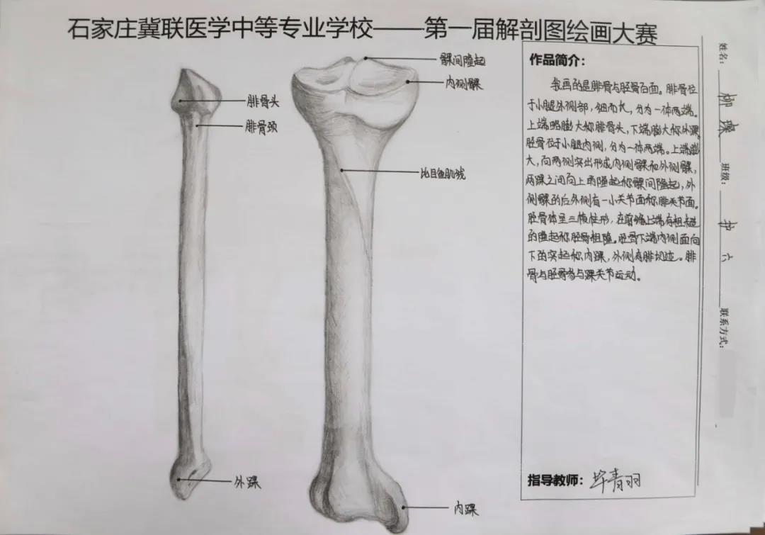 小象精品2023永久高清首届解剖图绘画大赛12.jpg
